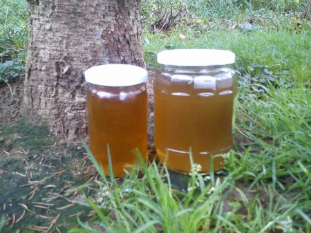 mandarinkovysirup